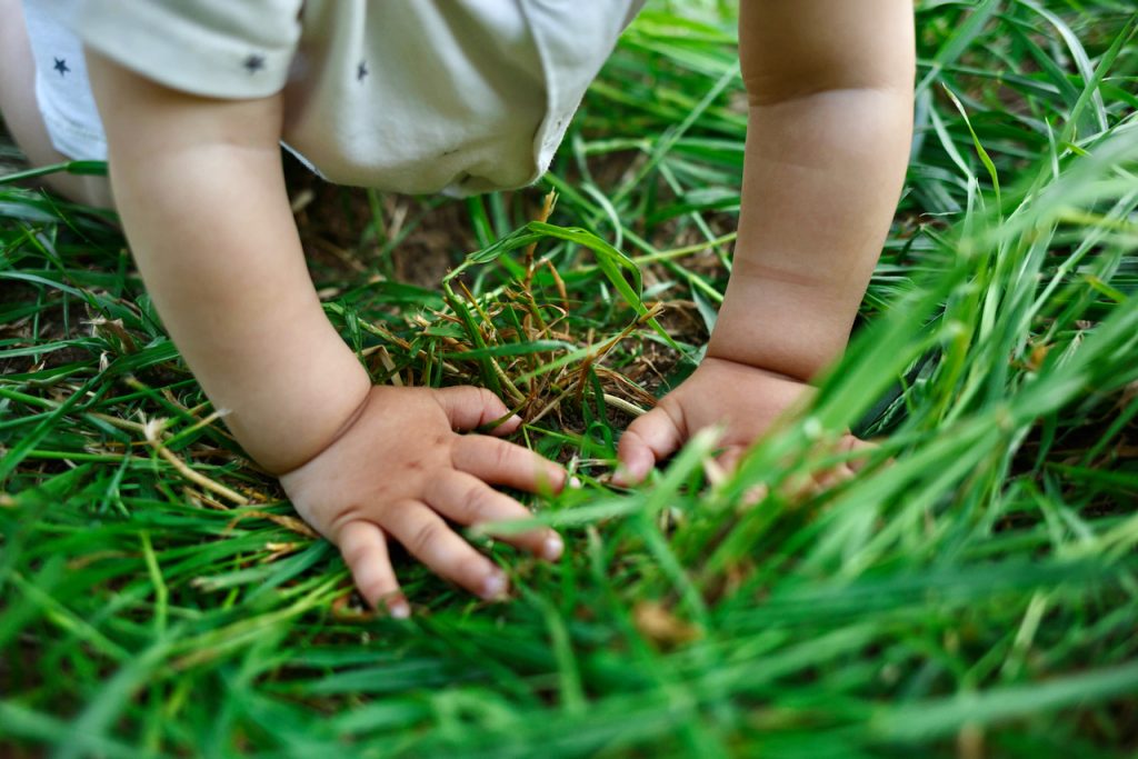 Photo of a baby crawling in the grass
